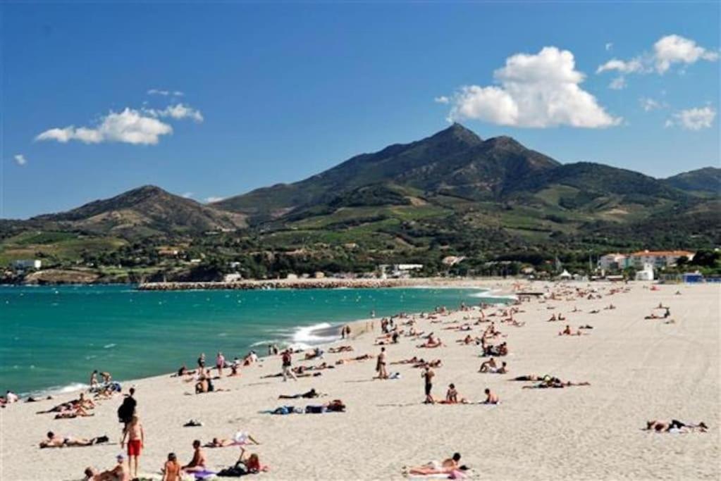 Studio/F1Bis A 50 M De La Plage أرجيليه- سور- مير المظهر الخارجي الصورة