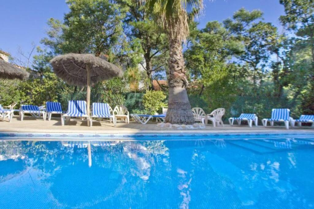 Studio/F1Bis A 50 M De La Plage أرجيليه- سور- مير المظهر الخارجي الصورة